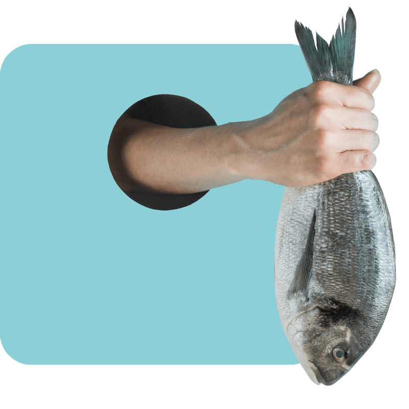 Phishing