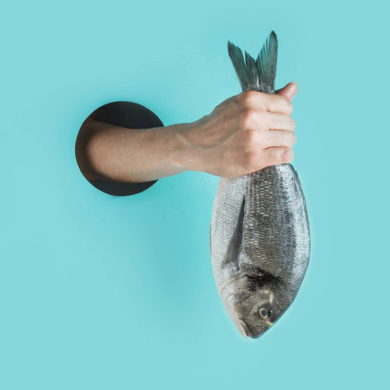 Phishing